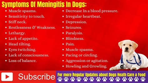 signs and symptoms of meningitis in dogs